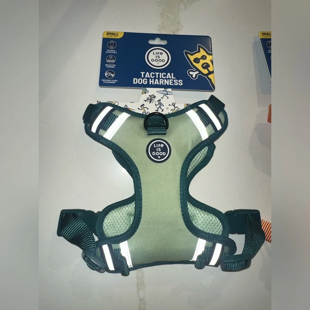 Bundle deal two dog harness